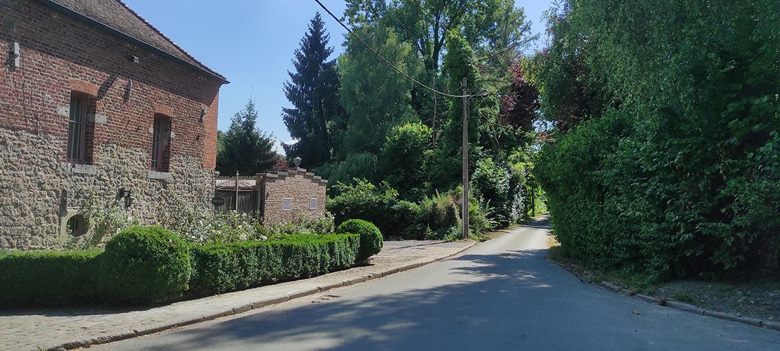 Templates WebAcappella Fusion